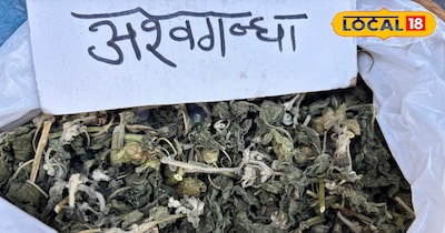 अश्वगंधा की खासियत