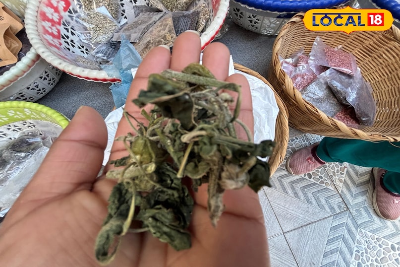 জিমে যাওয়ার জন্য উপকারী