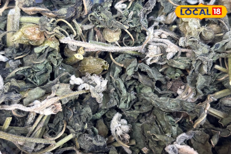 ভালো ঘুম পেতে সাহায্য করে