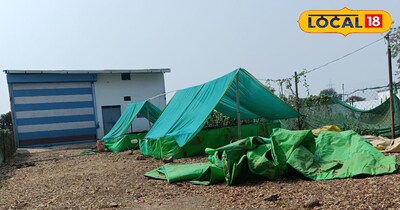 खाद इस तरीके से बना सकते है