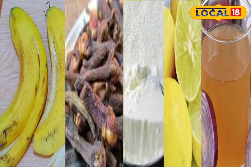 টিপস এবং কৌশল 