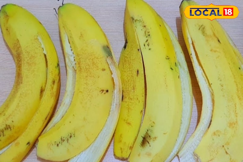 টিপস এবং কৌশল 