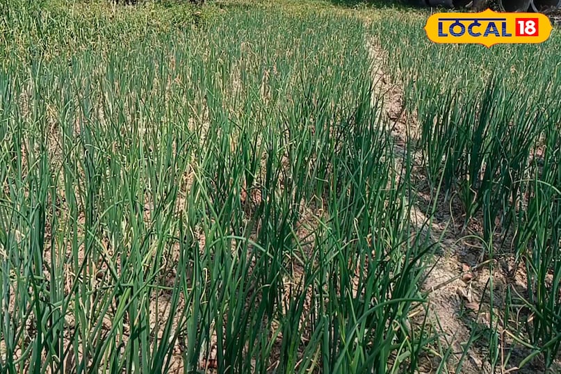 স্থানীয় 18 স্থানীয় 18