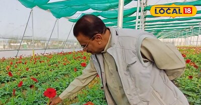 न नौकरी, न टेंशन, रामपुर के किसान ने 12 बीघा में शुरू की इस फूल की खेती, 5 साल त