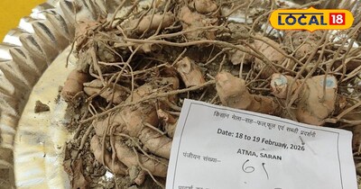 पीला हल्दी से अधिक कीमत में बिकता है काला हल्दी