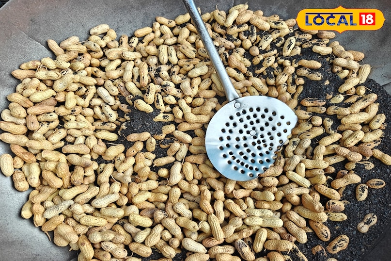 চিনাবাদাম 