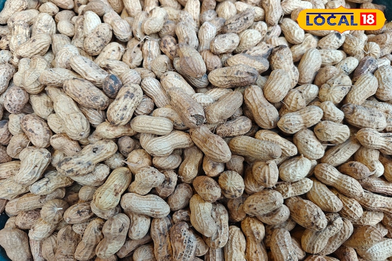 চিনাবাদাম 