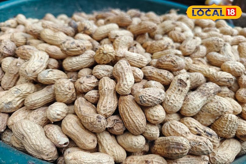 চিনাবাদাম 