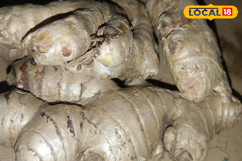 সর্দি-কাশির শত্রু আদা