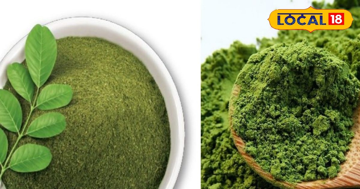 सफेद नहीं हरे पाउडर का कमाल देखिए, महिलाएं हुई आत्मनिर्भर, खड़ा किया लाखों का कारोबार