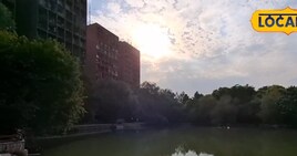 भीड़ से दूर, हरियाली के बीच सुकून! दिल्ली के ये पार्क बना देंगे वीकेंड खास