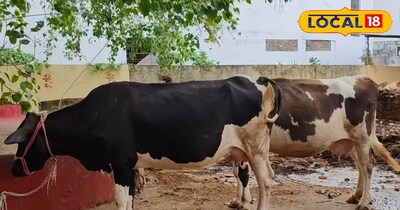 प्रतीकात्मक तस्वीर 