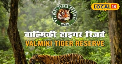 प्रतीकात्मक तस्वीर 