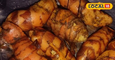 कई औषधीय गुणों से युक्त है पहाड़ की हल्दी