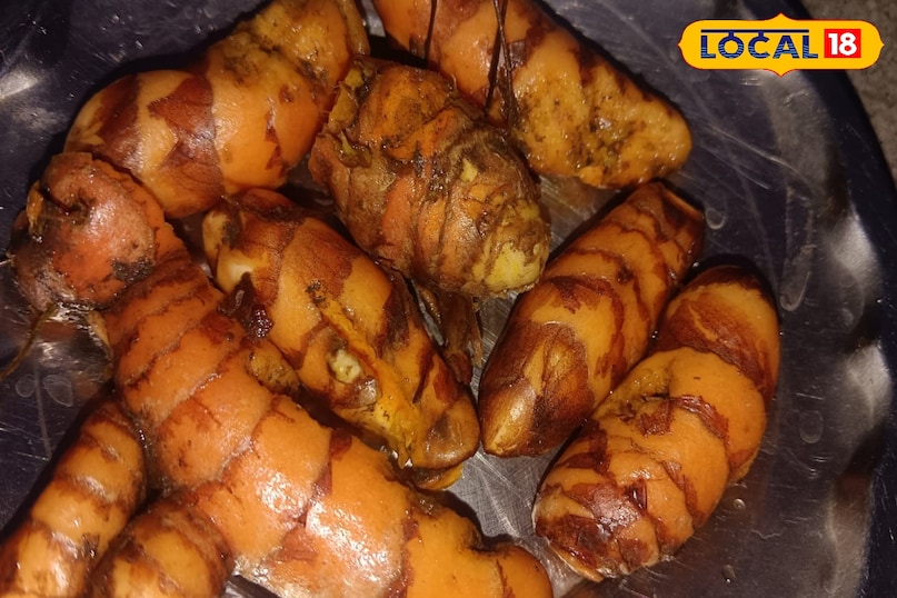 পাহাড়ি হলুদ পাহাড়ি হলুদ