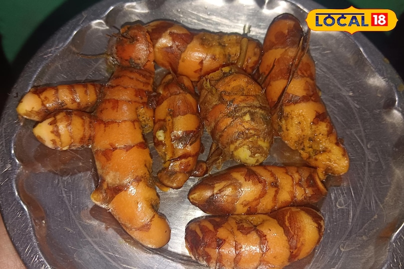 পাহাড়ি হলুদ পাহাড়ি হলুদ