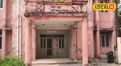 Snakebite Deaths: Chitrakoot Introduces 3-Doctor Panel for Post-Mortems, Compensation