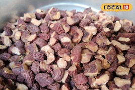 रेगिस्तान की प्यास से जन्मी सुपारी परंपरा, मारवाड़ियों की अनोखी पहचान