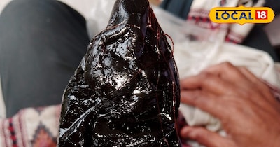 चट्टानों की दरारों से निकला ये असली शिलाजीत