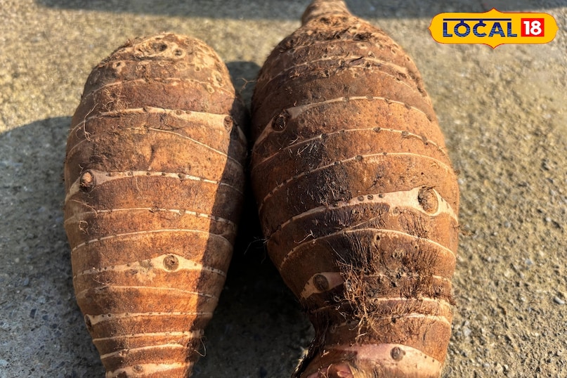 কান্দা কি গাদেরি, এক সবজি, অনেক পরিচয় কান্দা কি গাদেরি, এক সবজি, অনেক পরিচয়