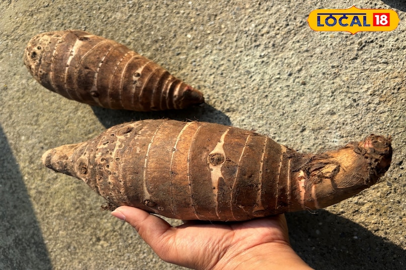 ক্রিমের সাথে তুলনা করার আসল কারণ ক্রিমের সাথে তুলনা করার আসল কারণ