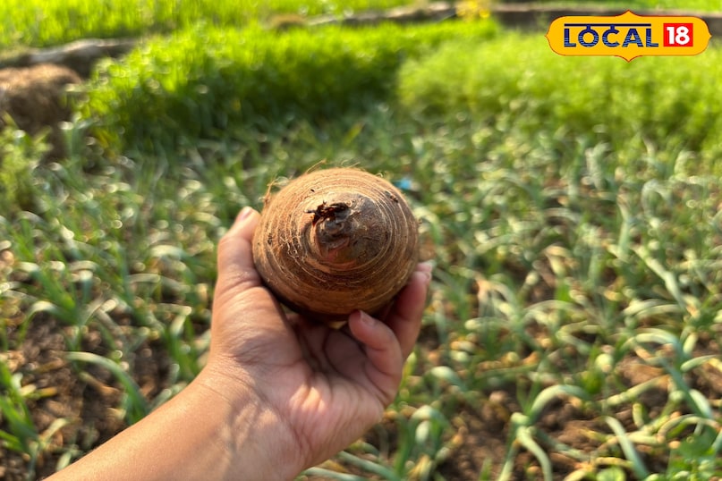 প্রস্তুতির ঐতিহ্যবাহী পাহাড়ি পদ্ধতি প্রস্তুতির ঐতিহ্যবাহী পাহাড়ি পদ্ধতি