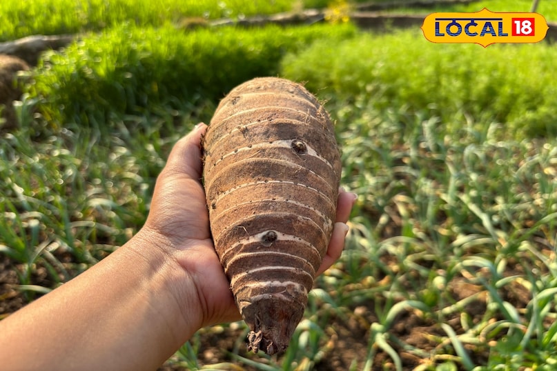 মাদুভা রোটির সাথে স্বাদের সংমিশ্রণ মাদুভা রোটির সাথে স্বাদের সংমিশ্রণ