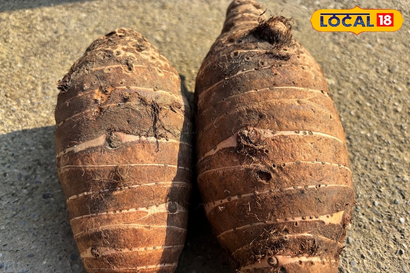 শীতকালীন শক্তির সবজি শীতকালীন শক্তির সবজি