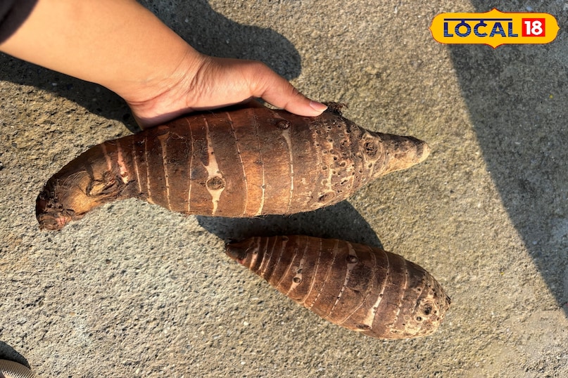 রাসায়নিক মুক্ত, সম্পূর্ণ প্রাকৃতিক রাসায়নিক মুক্ত, সম্পূর্ণ প্রাকৃতিক