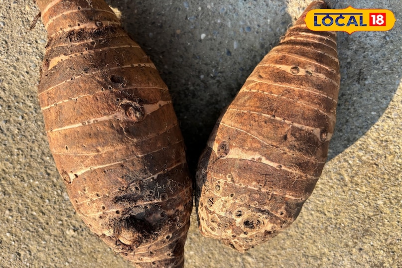 রুচি দিয়ে পর্যটনকে চিহ্নিত করা রুচি দিয়ে পর্যটনকে চিহ্নিত করা