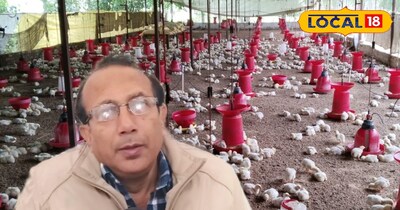 गर्मियों में मुर्गियों की बढ़ जाती है मृत्यु दर, ऐसे रखें खास ख्याल