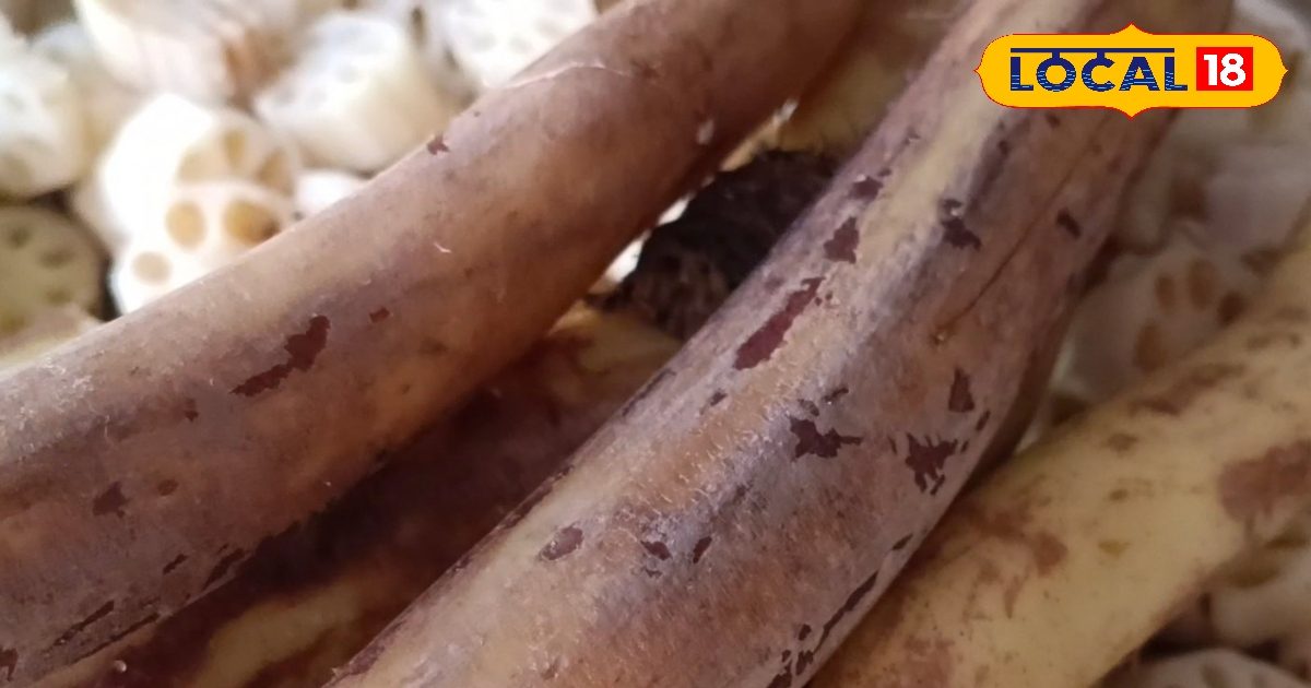 पानी में उगने वाले इस फूल का तना है बेहद पौष्टिक, सेवन से मिलेंगे ये जबरदस्त फायदे, खून की कमी है तो जरूर खाएं