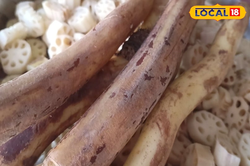 স্থানীয় 18