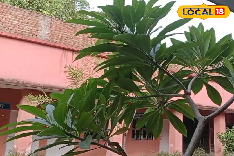 পাথর এবং প্রস্রাবের রোগ পাথর এবং প্রস্রাবের রোগ