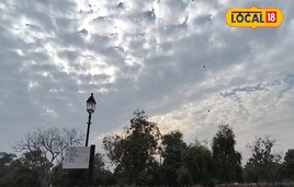 Delhi NCR में अब गर्मी दिखाएगी तेवर, IMD ने जारी किया 26 फरवरी तक का अपडेट