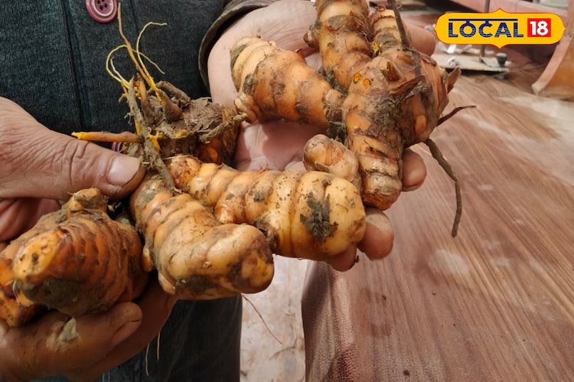 রোগ প্রতিরোধ ক্ষমতা বৃদ্ধিকারী রোগ প্রতিরোধ ক্ষমতা বৃদ্ধিকারী