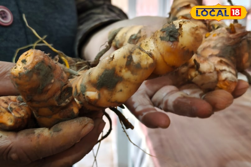 গ্যাস, বদহজম ও ফোলাভাব গ্যাস, বদহজম ও ফোলাভাব