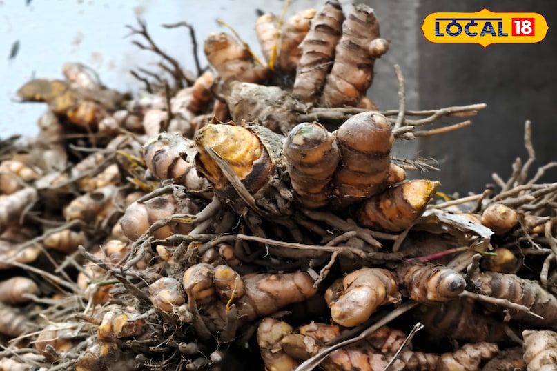 ক্ষতিকারক পদার্থ বের হয়ে যায় ক্ষতিকারক পদার্থ বের হয়ে যায়