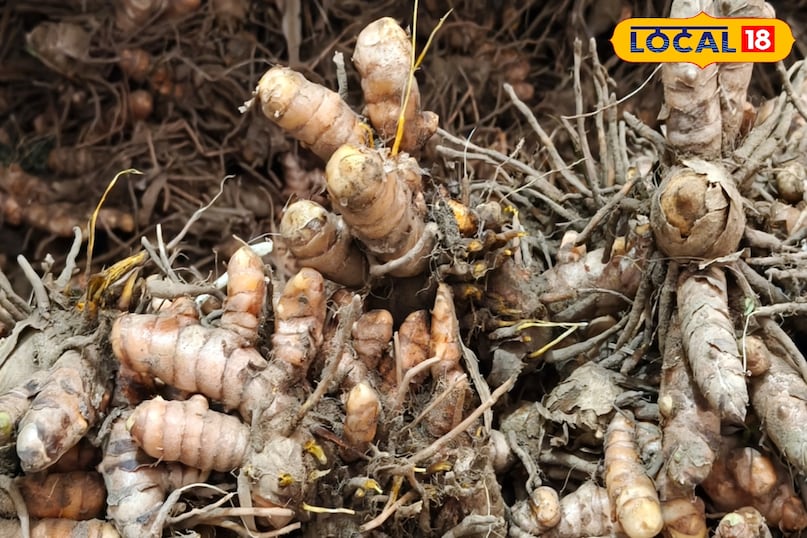 সর্দি, কাশি এবং গলা ব্যথা সর্দি, কাশি এবং গলা ব্যথা