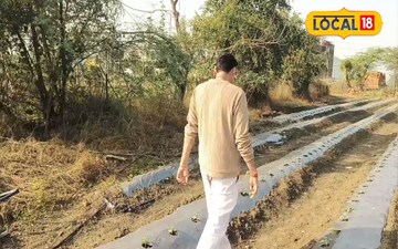 वाटरमेलन