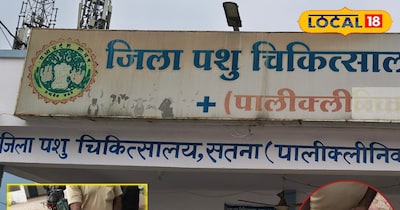 पर्वो 