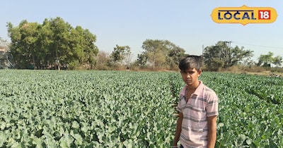 Barren Field Turns Gold Mine: Jumbo Cauliflower Changes Farmer Rahul's Fortune