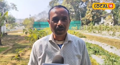 एक पौधे में 5 किलो बैगन, बैगन की ऐसी बागवानी देखकर चौंक जाएंगे, रांची के रमेश मह