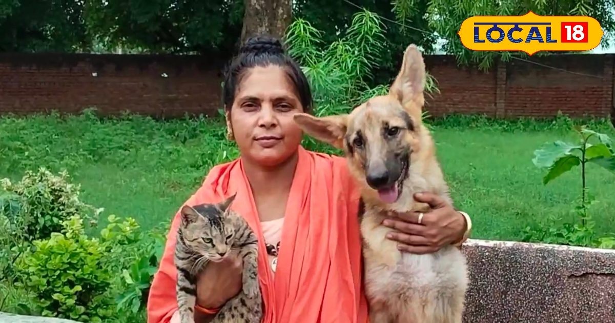 मेरठ के इस मंदिर में क्यों साथ रहते हैं कुत्ता और जंगली बिल्ली? जानकर रह जाएंगे हैरान, पढ़िए इनकी प्रेम कहानी