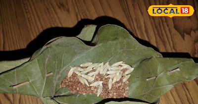 तिमल की पत्ती से बने पुड़े में रखे जों और तिल