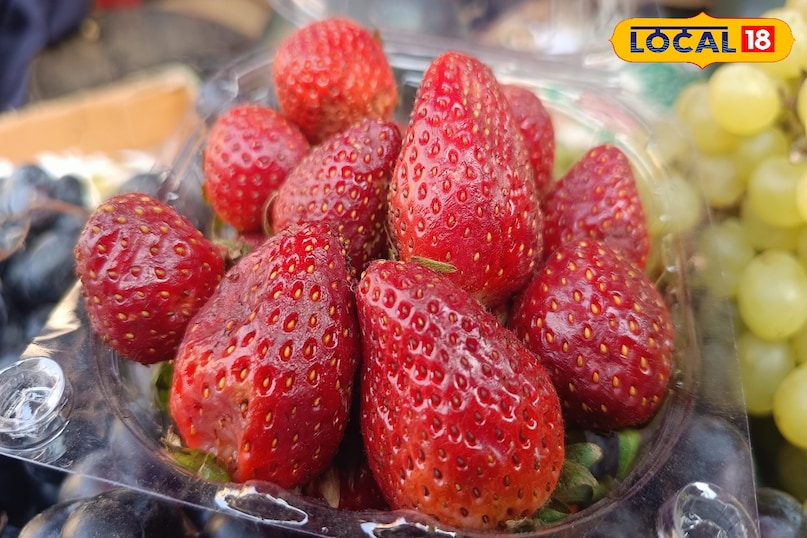 স্ট্রবেরি খাওয়ার উপকারিতা, স্ট্রবেরি কীভাবে খেতে হয়, স্ট্রবেরিতে কী কী পুষ্টি উপাদান পাওয়া যায়, স্ট্রবেরি কখন খেতে হবে, কত পরিমাণে স্ট্রবেরি খেতে হবে, স্থানীয় 18, স্ট্রবেরি খাওয়ার উপকারিতা, কীভাবে স্ট্রবেরি খেতে হবে, স্ট্রবেরিতে কী পরিমাণে কী পুষ্টিগুণ পাওয়া যায়, স্ট্রবেরিতে কী পরিমাণ পুষ্টি পাওয়া যায়, স্ট্রবেরি খাওয়া উচিত, স্থানীয় 18 স্ট্রবেরি খাওয়ার উপকারিতা, স্ট্রবেরি কীভাবে খেতে হয়, স্ট্রবেরিতে কী কী পুষ্টি উপাদান পাওয়া যায়, স্ট্রবেরি কখন খেতে হবে, কত পরিমাণে স্ট্রবেরি খেতে হবে, স্থানীয় 18, স্ট্রবেরি খাওয়ার উপকারিতা, কীভাবে স্ট্রবেরি খেতে হবে, স্ট্রবেরিতে কী পরিমাণে কী পুষ্টিগুণ পাওয়া যায়, স্ট্রবেরিতে কী পরিমাণ পুষ্টি পাওয়া যায়, স্ট্রবেরি খাওয়া উচিত, স্থানীয় 18