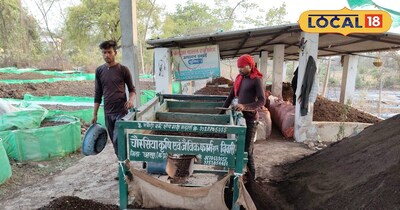Free Vermicompost Training in Chhatarpur: Learn, Earn Profit, Get Free Earthworms!