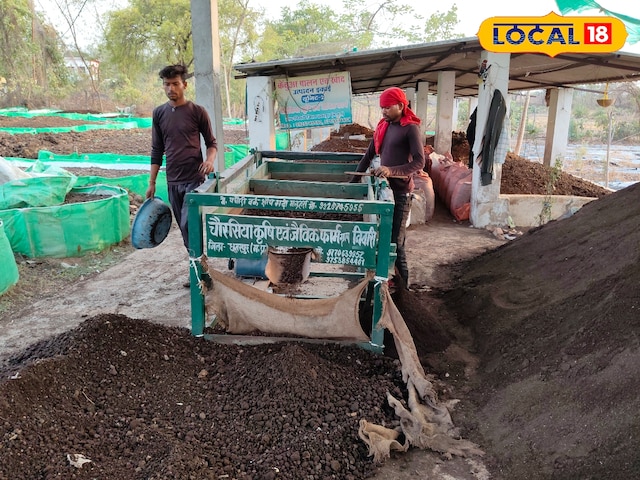 फ्री में मिलती है केंचुआ खाद बनाने की ट्रेनिंग, फिर कैसे कमाएं मुनाफा, जानें