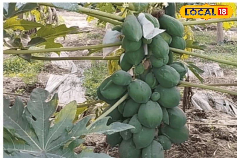 Moradabad news, hindi news, local news, up news, Moradabad news, Hindi news, local news, UP news. Moradabad news, hindi news, local news, up news, Moradabad news, Hindi news, local news, UP news.