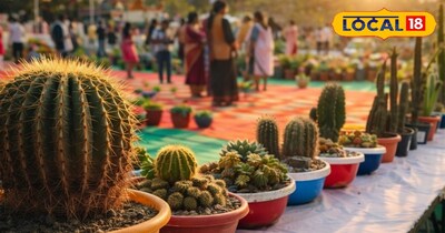 अनोखे कैक्टस की प्रदर्शनी